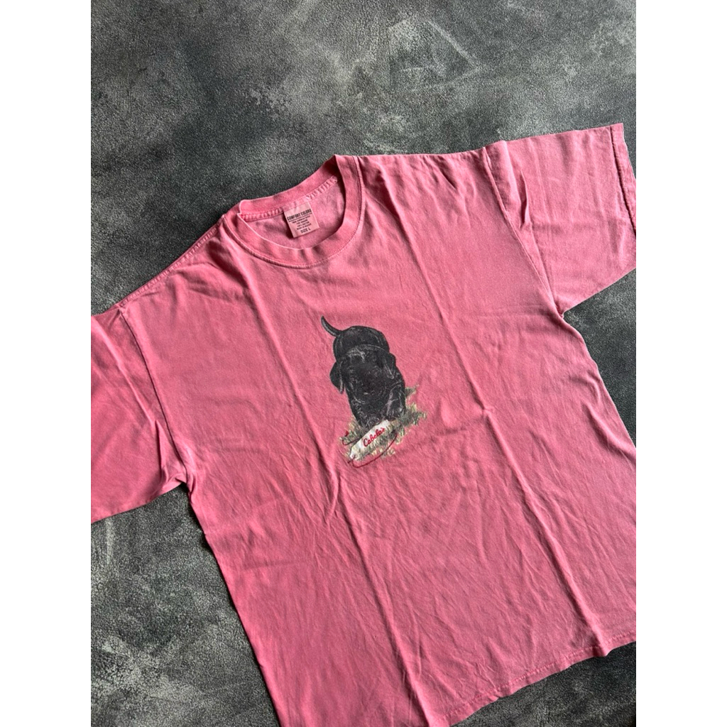 tshirt/kaos Comfort colors scnd