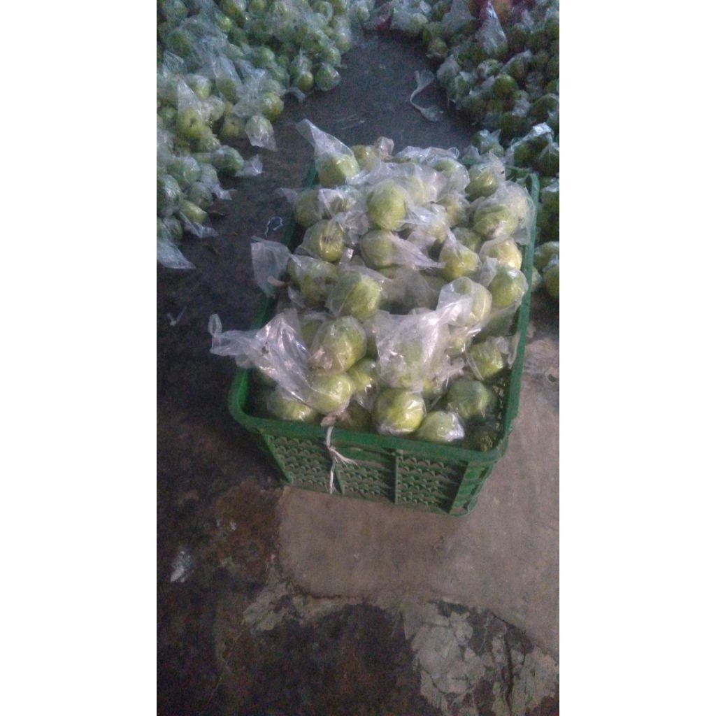 

jambu kristal kemasan 50 kg