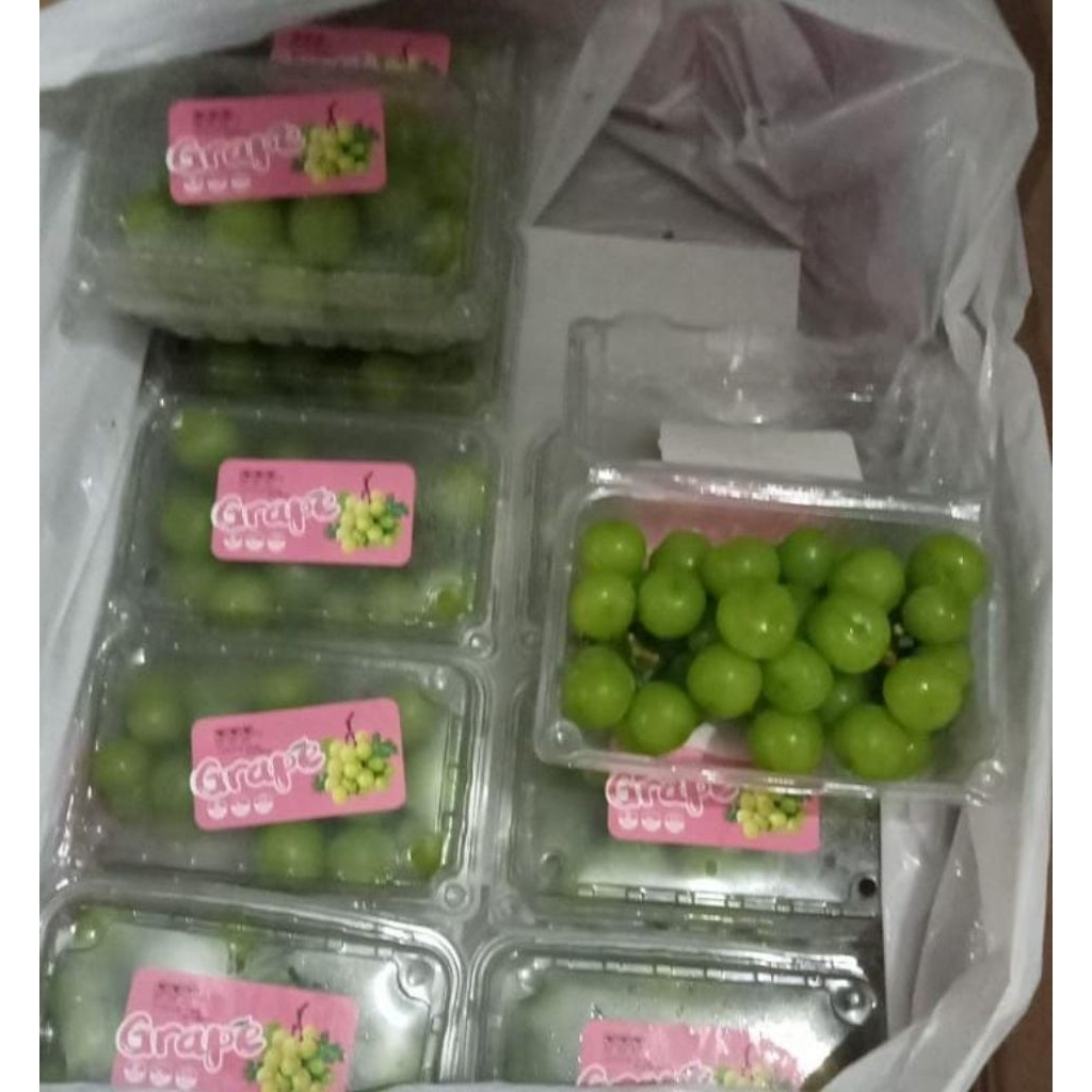 

Indukbuah Buah Anggur Hijau Shine Muscat Pack Seedless Manis 1 Dus isi 10 pack (@500 gram)