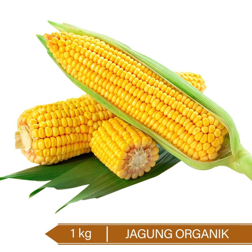

Jagung Organik / Organic Corn 1kg