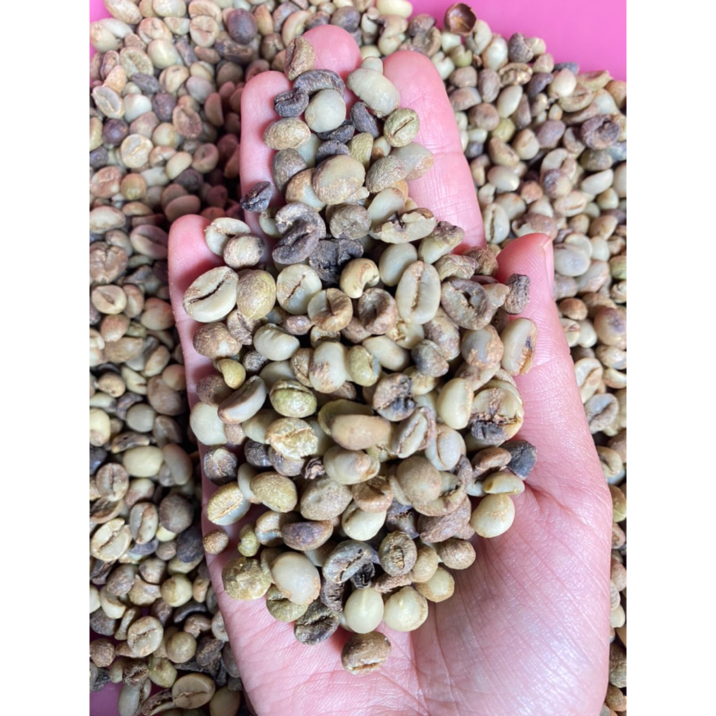 

Biji kopi Robusta ( ASALAN ) Lampung Barat (Way Tenong) 5kg