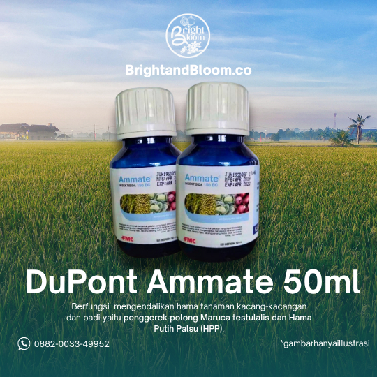 Insektisida Dupont Ammate 150 EC 50 ML/100ML