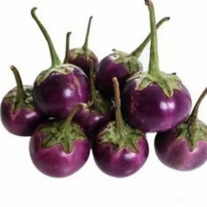 

terong bulat ungu 500gram