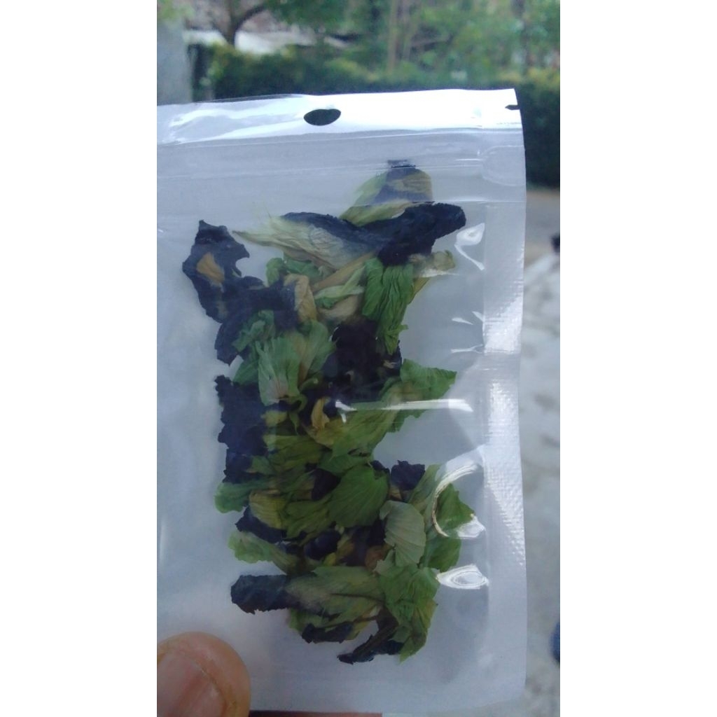 

butterfly pea flower