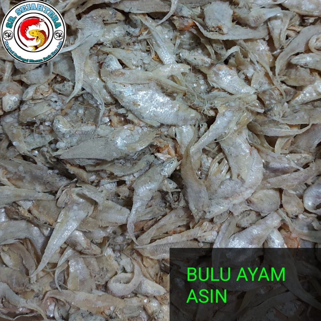 

IKAN ASIN BULU AYAM ASIN / IKAN BULU AYAM / IKAN ASIN