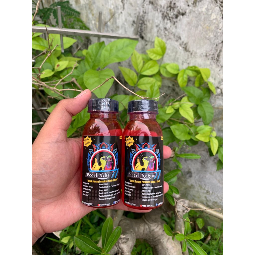 Nektar Metabolis Untuk Sogon Konin Pleci Doping Penggacor Burung