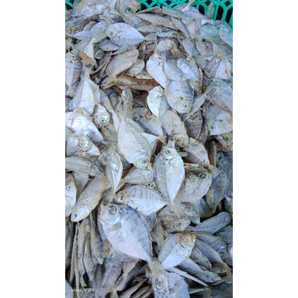 ikan asin kopek kecik 1kg#ikan ason  kopek kecil enak#ikan asin khas pasuruan pesisir