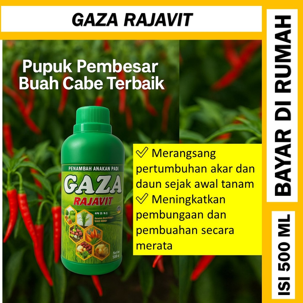 PUPUK CABE MERAH TERBAIK – Obat Semprot Cabe Lebat Tanpa Rontok, Obat NPK Cair GAZA RAJAVIT  isi 500
