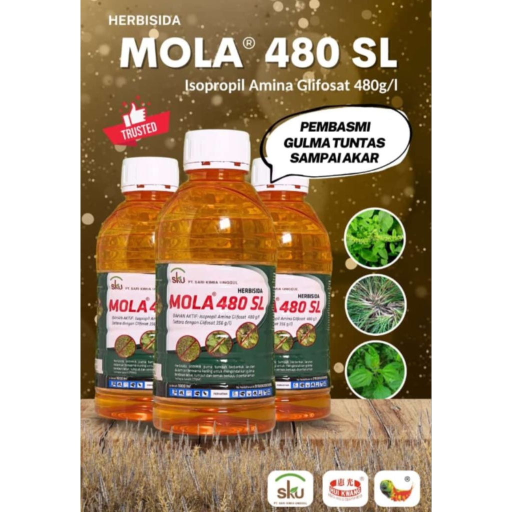 Hebisida Sistemik MOLA 480SL