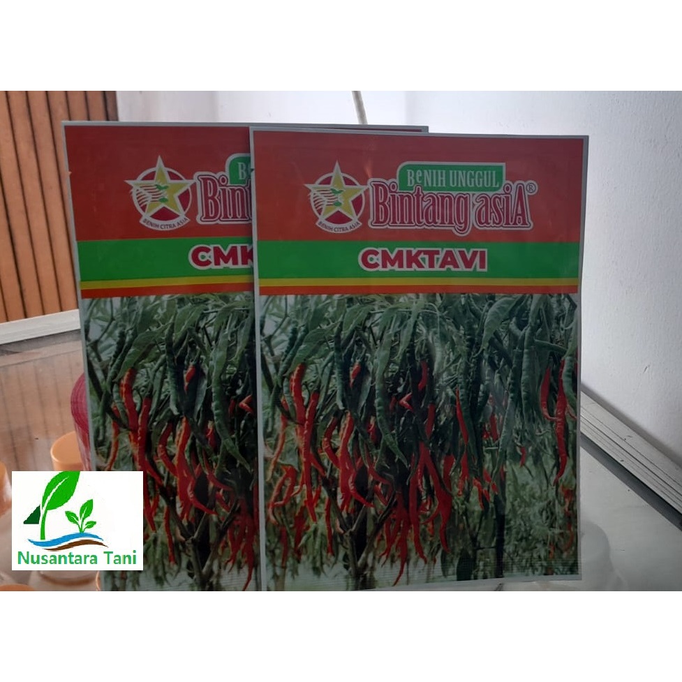 Benih Cabai Kriting CMK TAVI / CMK TAVI BINTANG ASIA