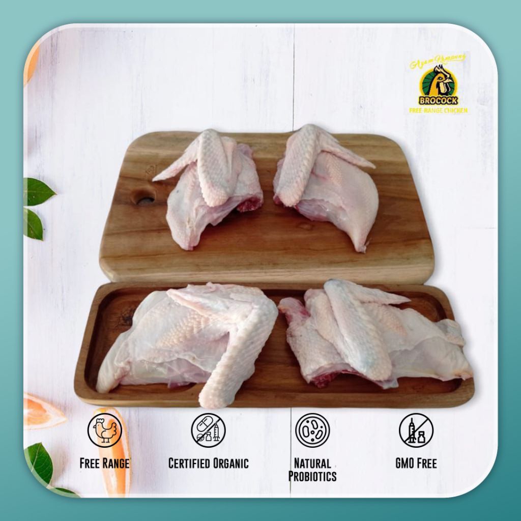 

Dada Sayap Ayam Kampung Brocock Free Range Raised in Organic Farming Berat 500-600 gram