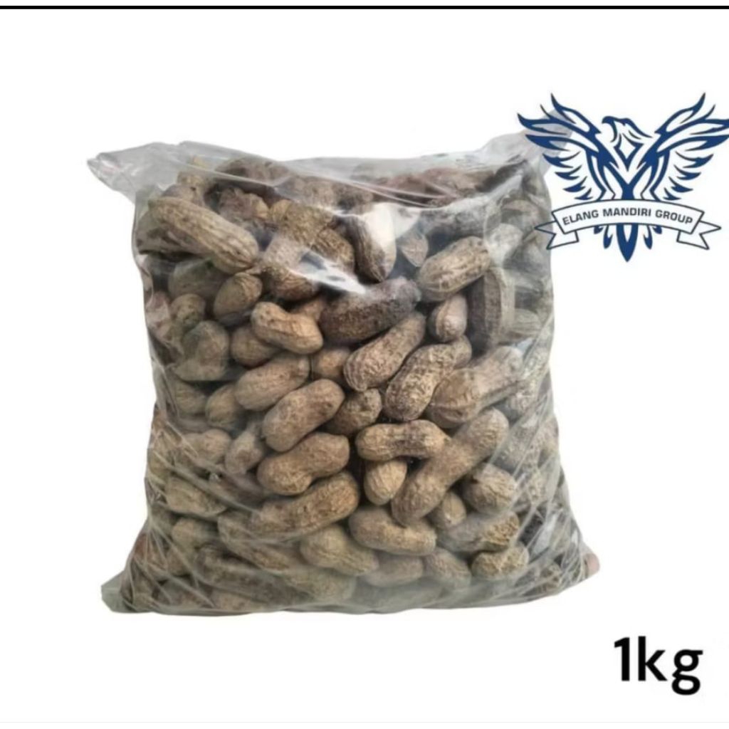 Benih biji Kacang Tanah 1KG , Bibit Kacang Tanah super kemasan 1KG