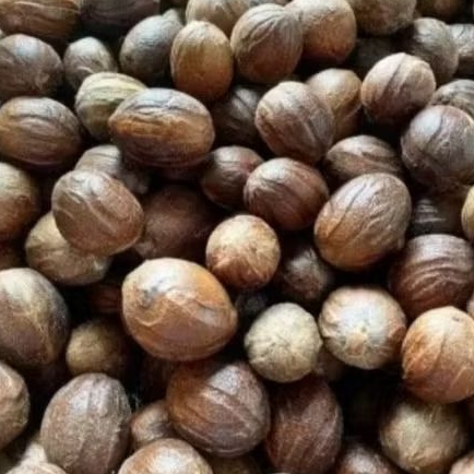 

BIJI PALA KERING /1 KG