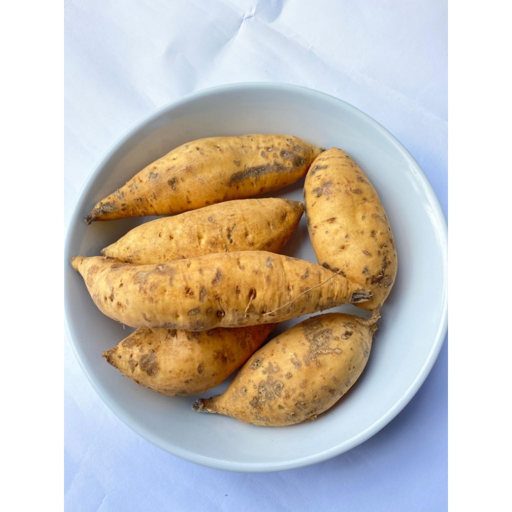 

Ubi cilembu mentah asli dari cilembu