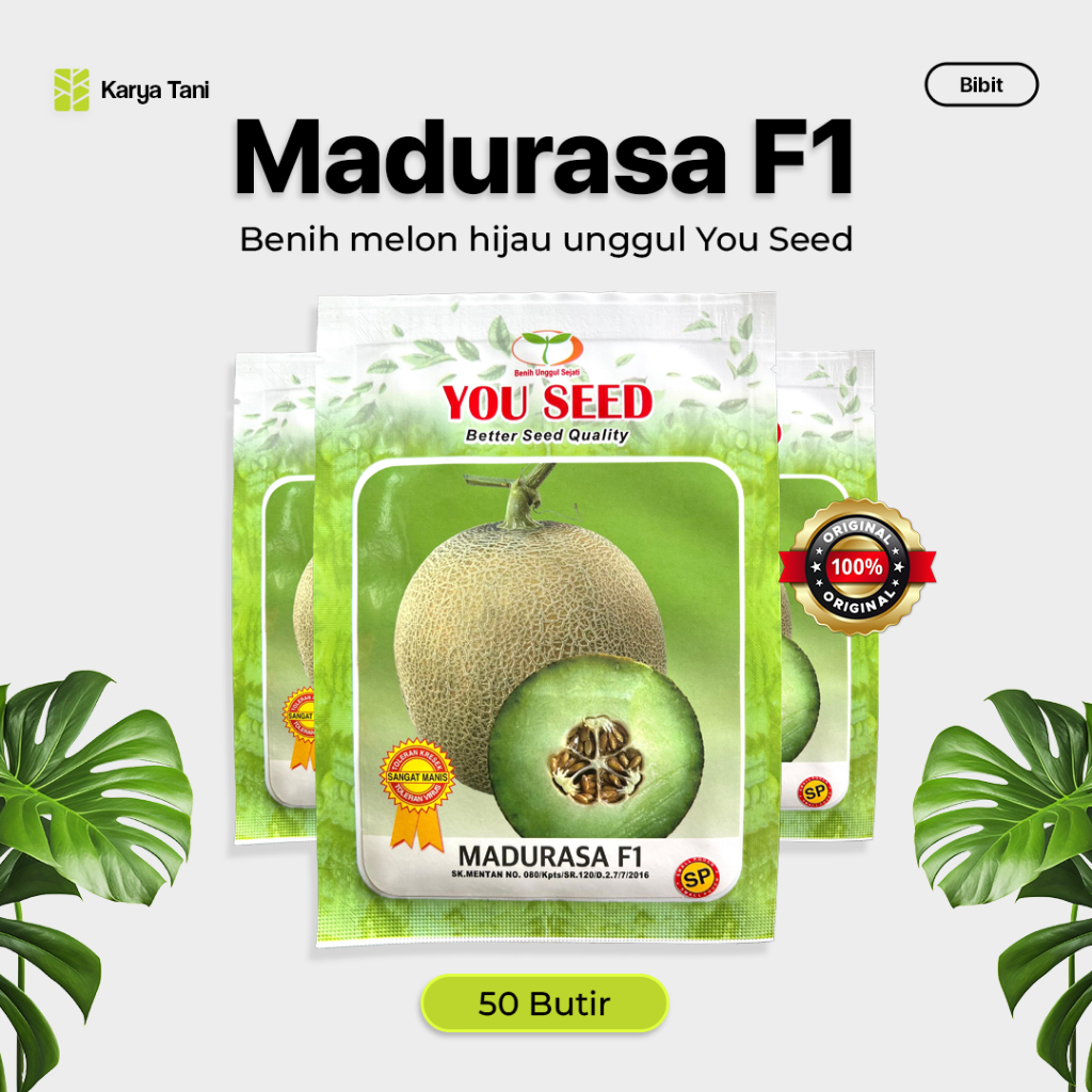BENIH MELON HIJAU MADURASA F1 50 BUTIR YOU SEED