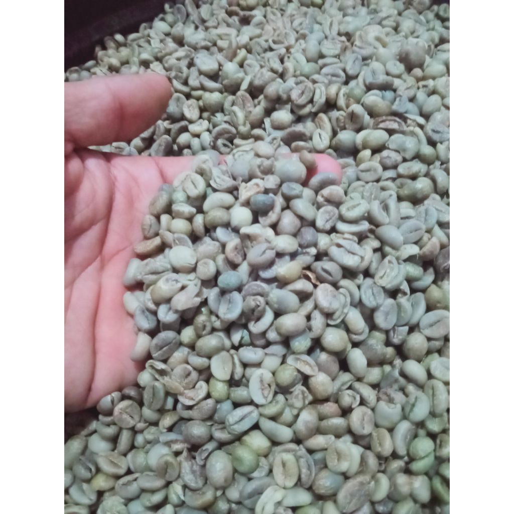 

KOPI GREEN BEAN ROBUSTA SAMBUNG 1KG