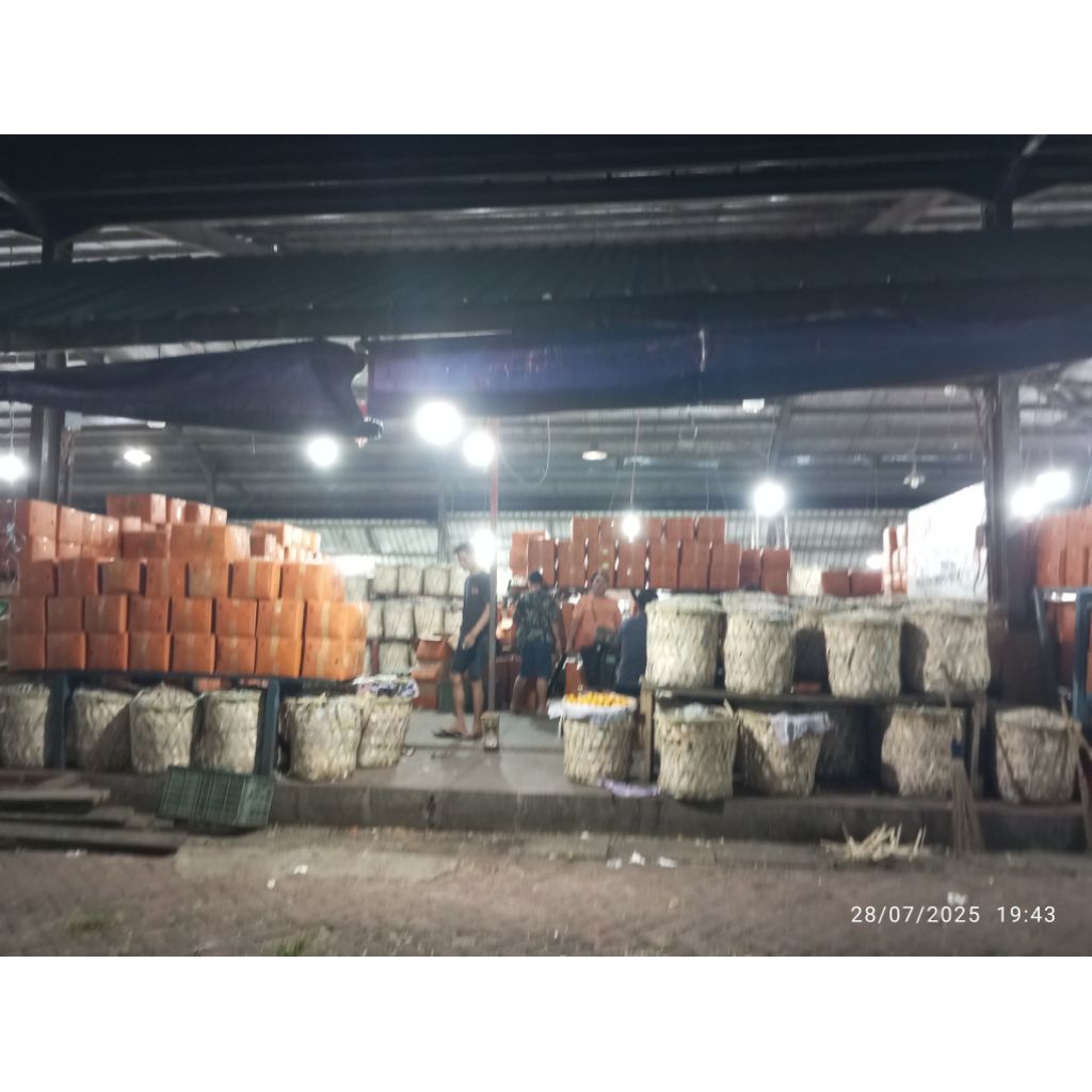 

Jeruk Medan manis dan lezat