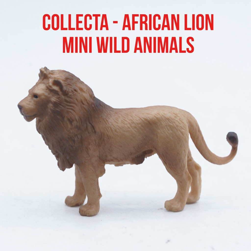 Collecta A1105 Mini Wild Animals -African Lion Singa Afrika Panthera Leo - Small Size Ukuran Kecil M