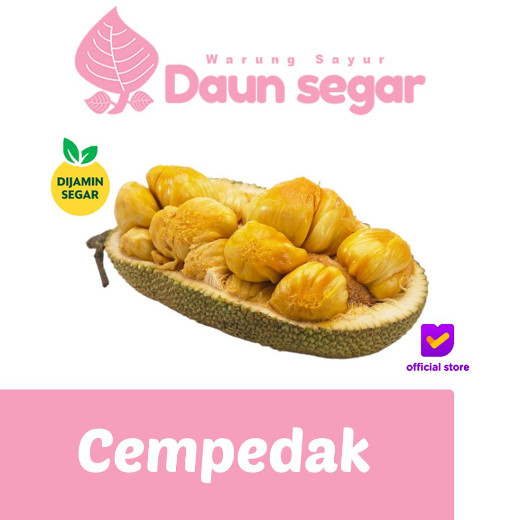 Cempedak Legit Per-Buah Jumbo Daging Tebal, Rasa Manis Mewah - Daun segar