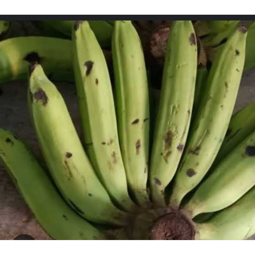 

pisang Mateng 1kg siap masak &makan