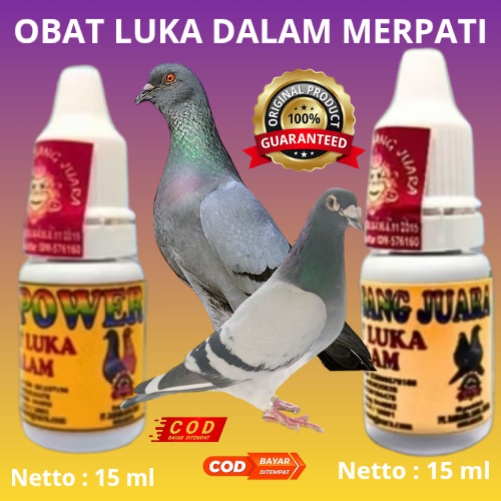 OBAT LUKA DALAM UNTUK MERPATI RSJ & BEST POWER