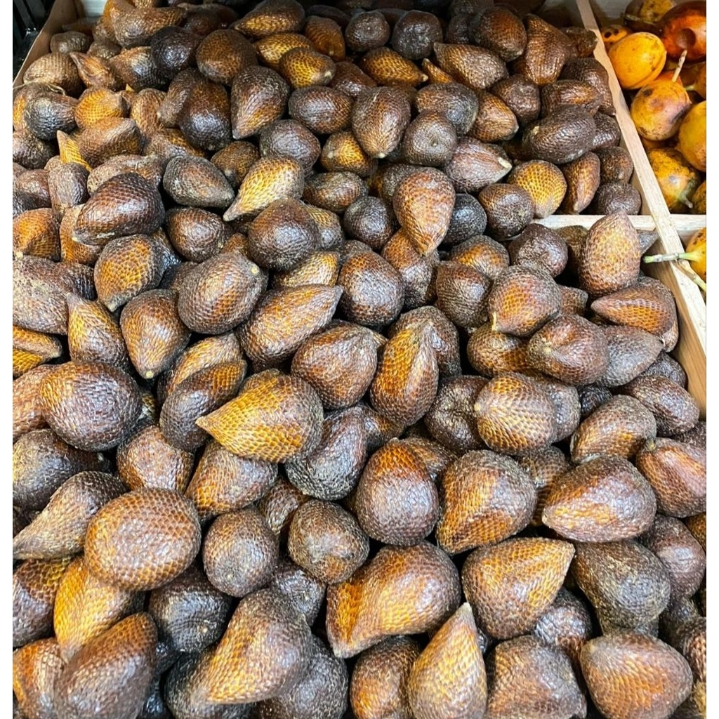 

Buah Salak Pondoh Manis Crunchy