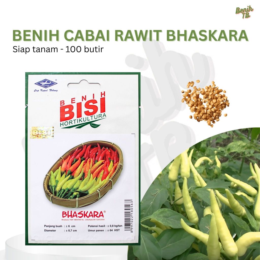 Benih Cabai Rawit Putih Bhaskara F1 BISI Isi 100 Biji