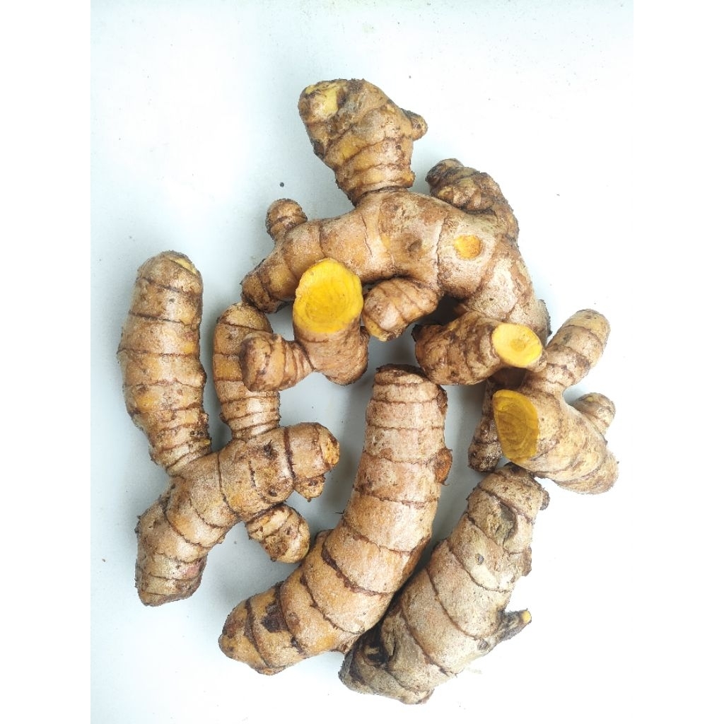 

Temu Giring segar Asli – temu giring 1 kg | Obat Herbal Tradisional & Bahan Jamu