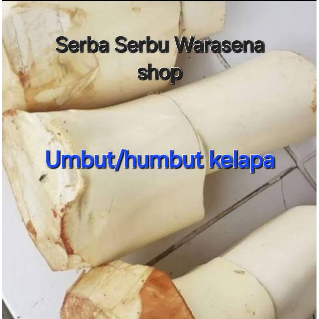 

umbut kelapa/pondoh kelapa fresh nebang dadakan harga per 1 kg