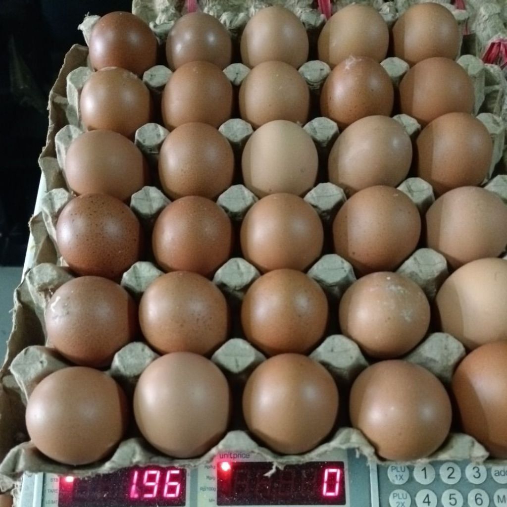 

Telur ayam uk. grade B