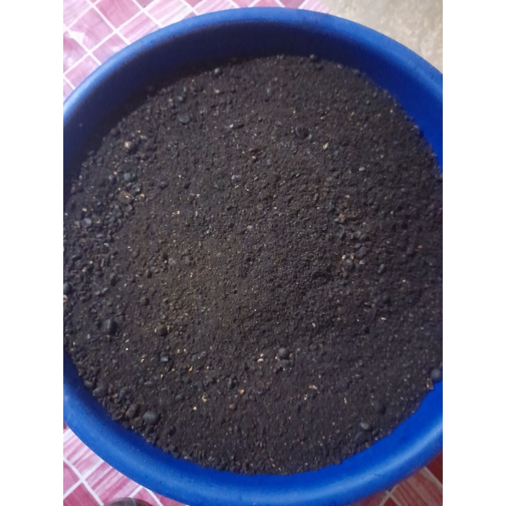 

kopi puncak gunongdoyo