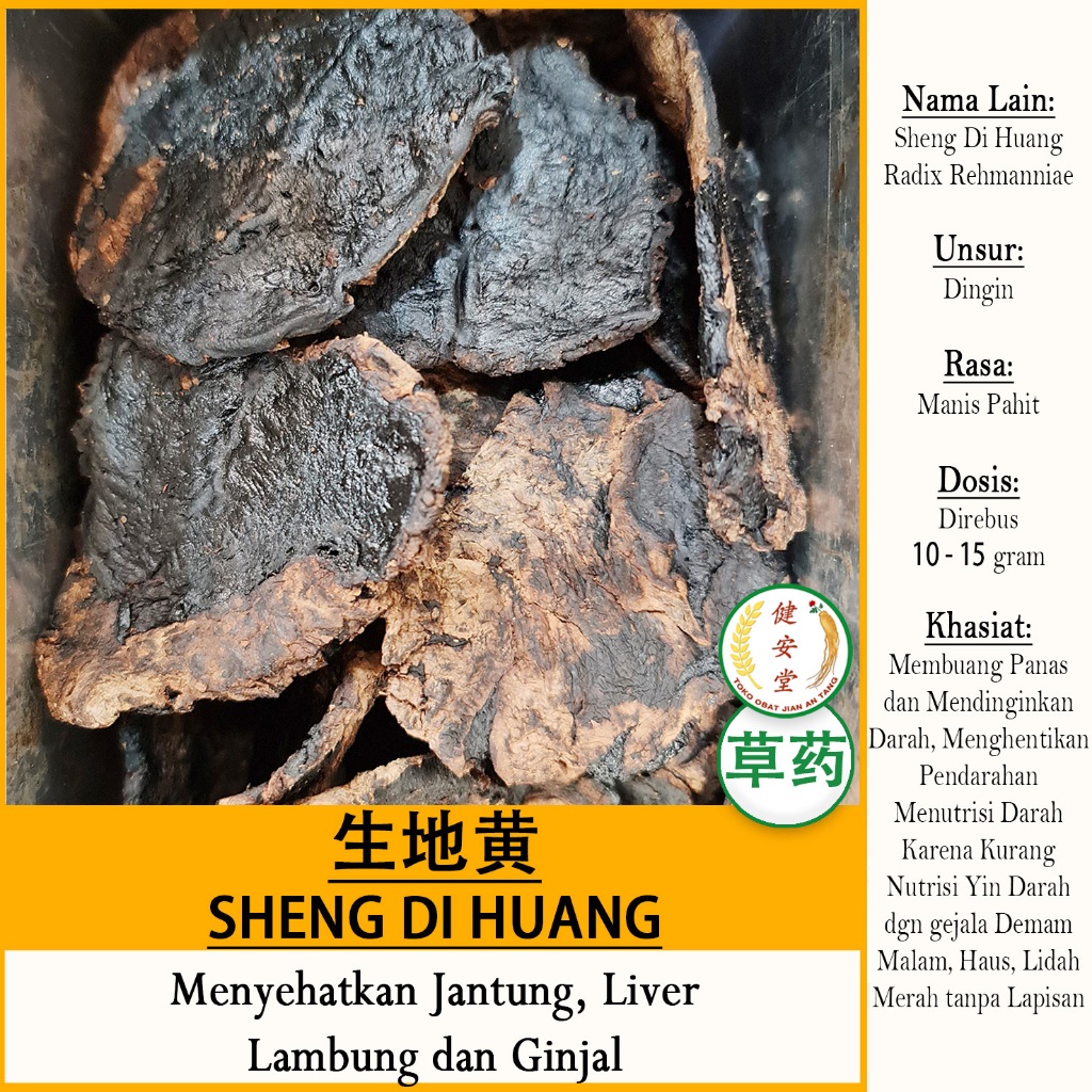 

SHENG DI HUANG - CHINESE FOXGLOVES ROOT - Radix Rehmmaniae HERBAL TCM Per 100 Gram
