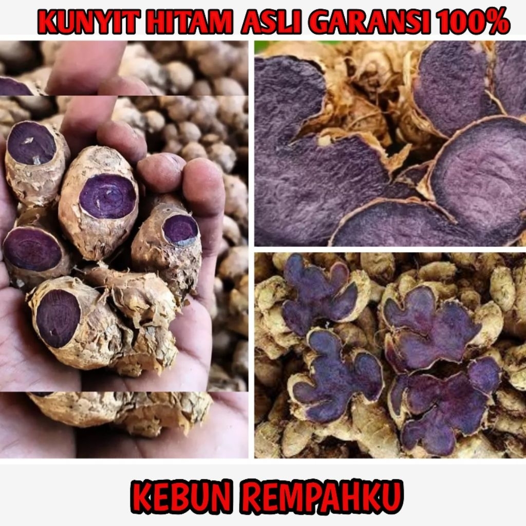 

kunyit hitam asli fresh 1ons bisa di tanam