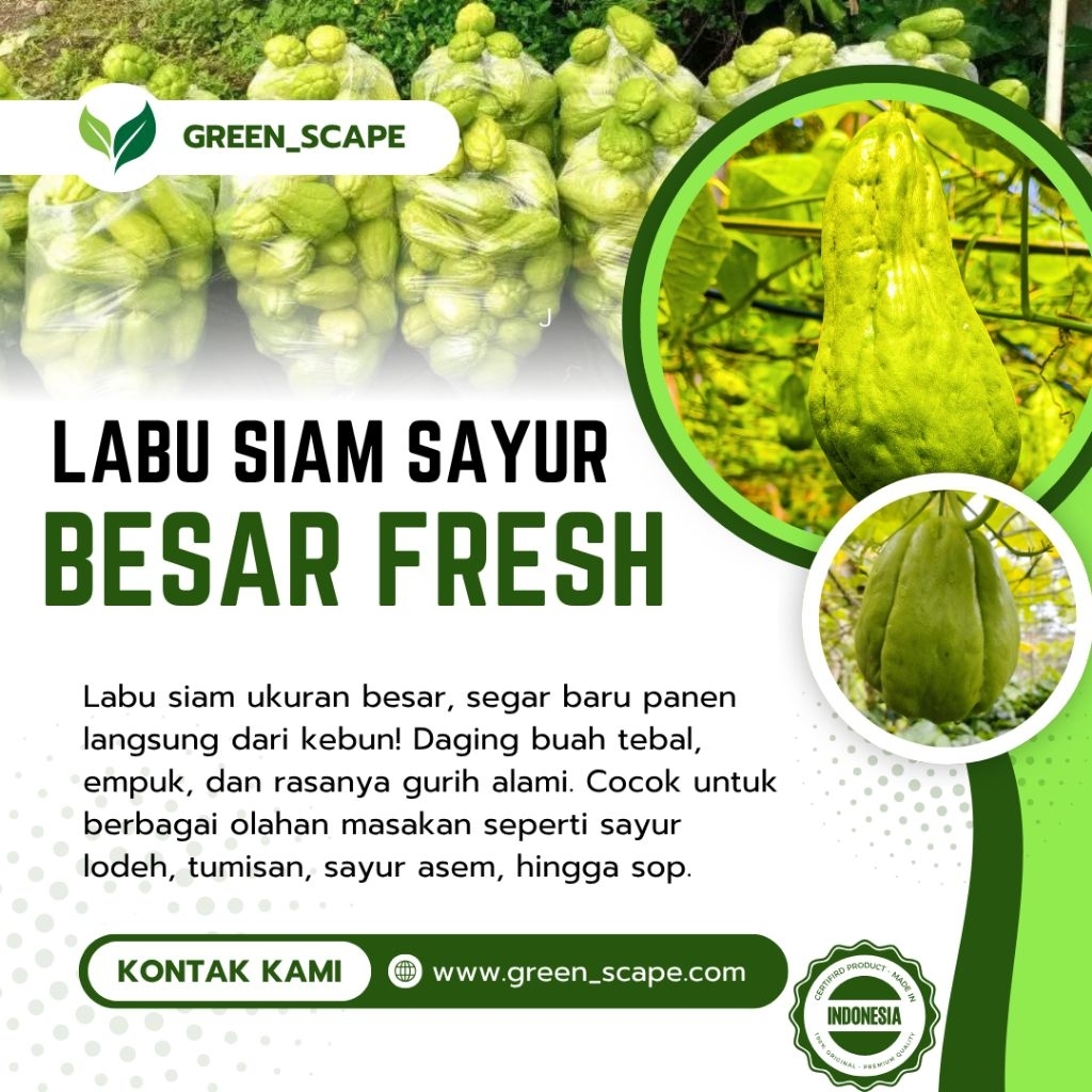 

Labu Siam 1 kg Segar Panen Langsung Dari kebun– Sayur Sehat, Empuk & Siap Masak!