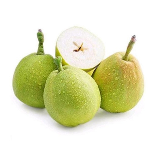 

Buah Pir Xiang Lie/Buah Pear Xiang Lie/Pir Xiang Lie Segar/Fresh Pir Xiang Lie/6 Kg/Box