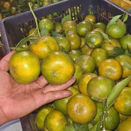 

buah jeruk manis segar(500gr dan 1000gr)di jamin fress dan sangat juice