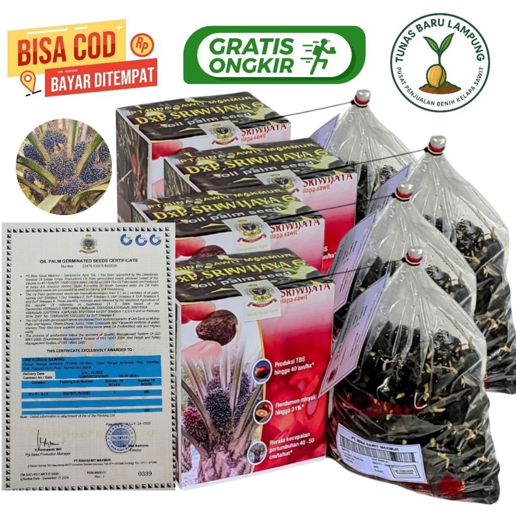 Bibit benih kecambah sawit unggul SRIWIJAYA 6 SEMIKLON + SERTIFIKAT RESMI isi 250 butir