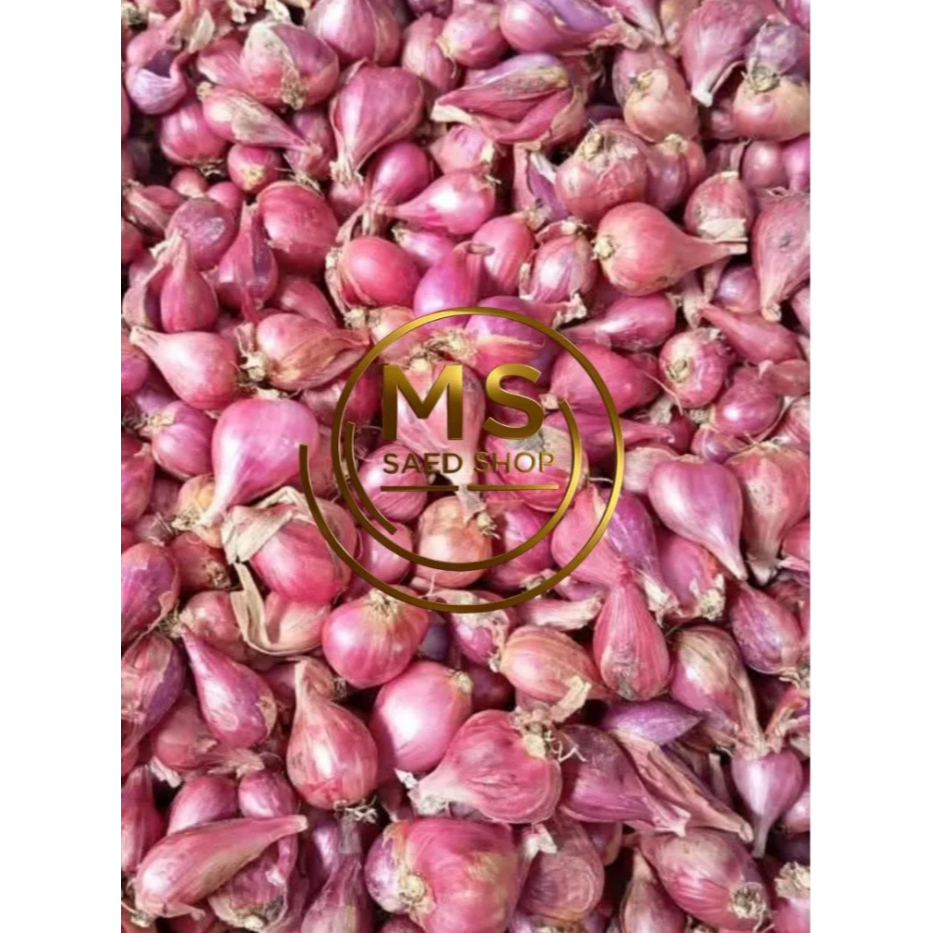 

Bawang Merah Brebes 1kg / Bawang Merah Lokal Ukuran Campur