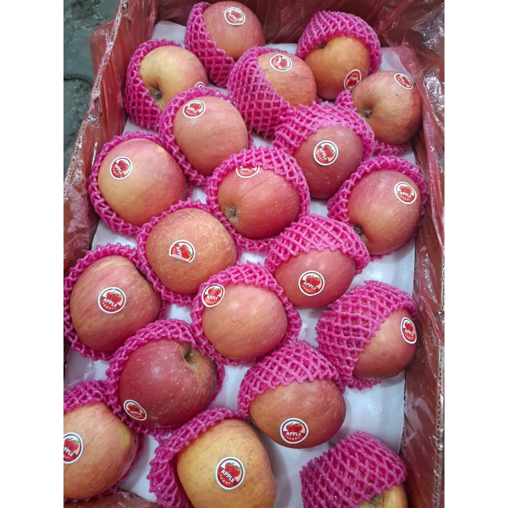 

Apel Fuji 1kg (INSTAN)