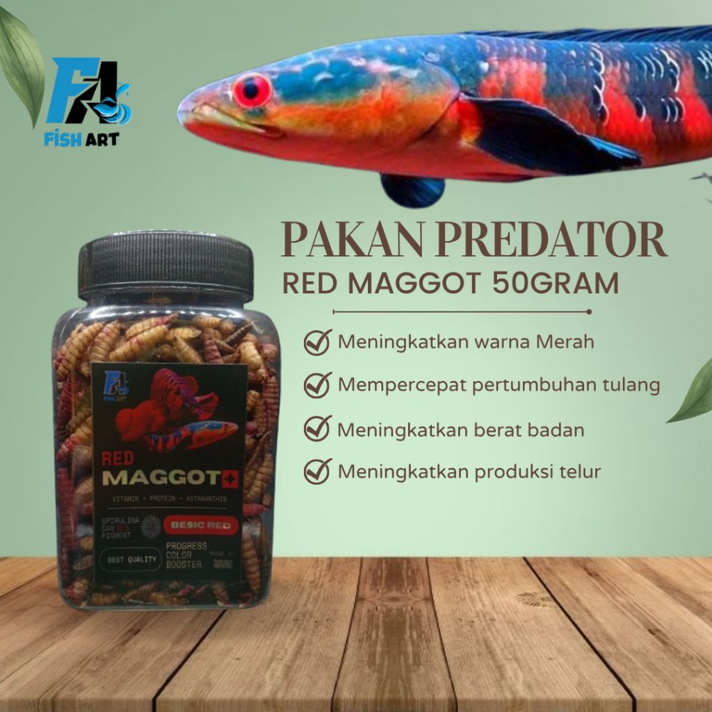 RED MAGGOT GRADE A 50GRAM | PAKAN PREDATOR CHANNA RED BARITO