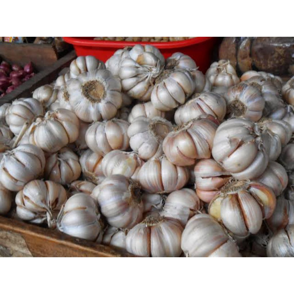 

Bawang Putih Fresh (Sayuran Segar)