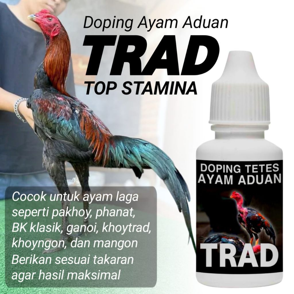 Doping ayam Bangkok pakhoy drumband