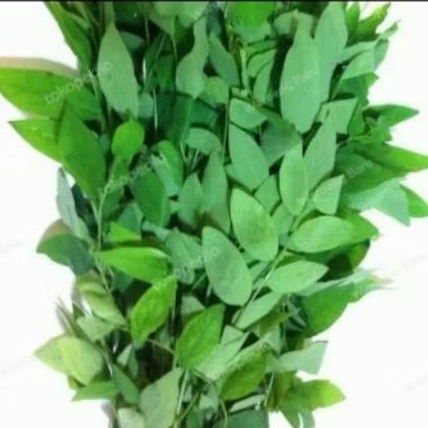 

Daun Katuk per 1 ikat