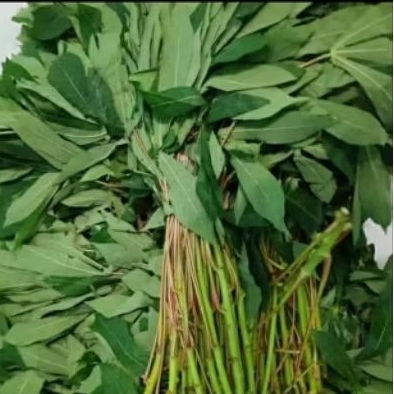 

Daun singkong per 1 ikat