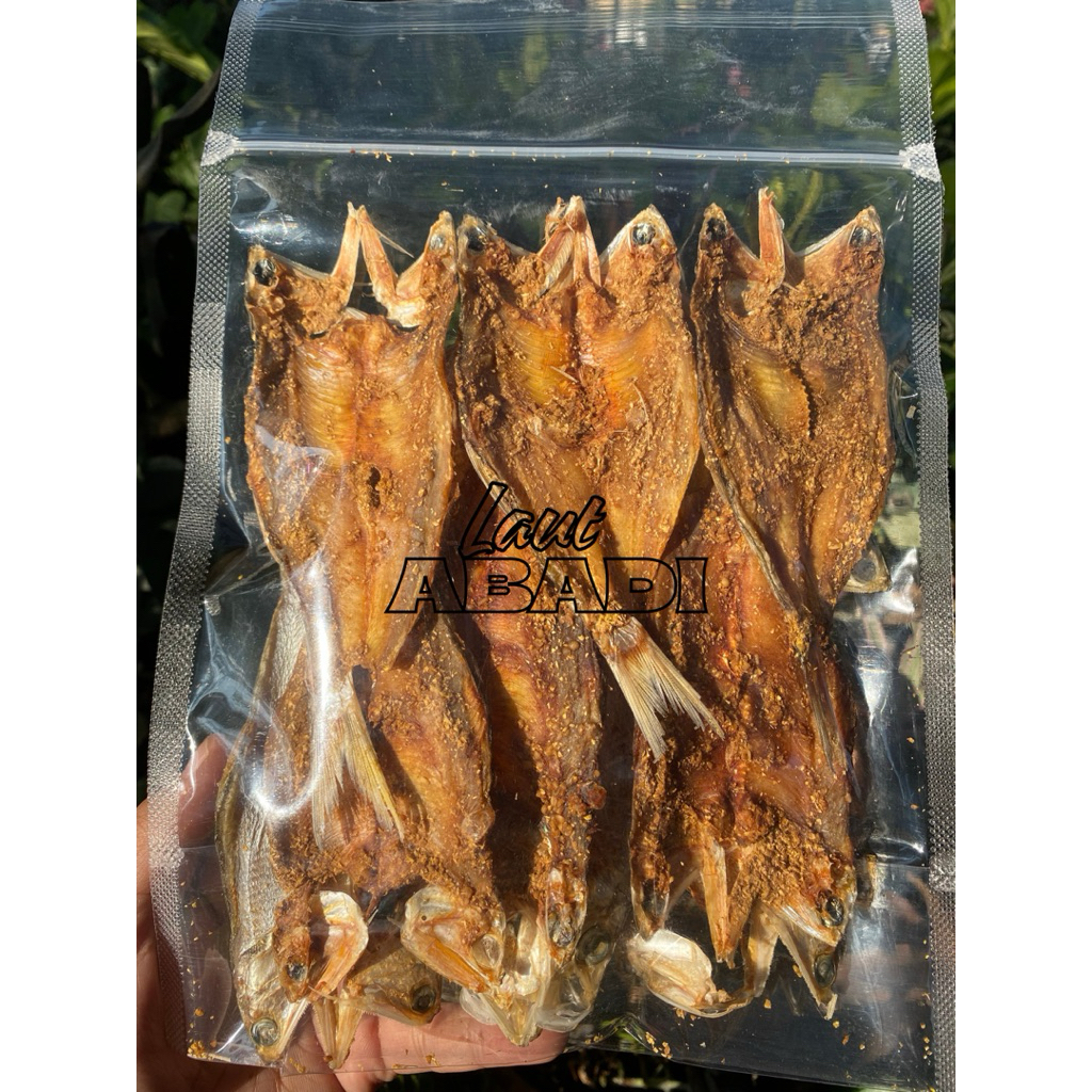 

ikan dendeng bulu ayam full bumbu terlaris tinggal goreng tahan lama