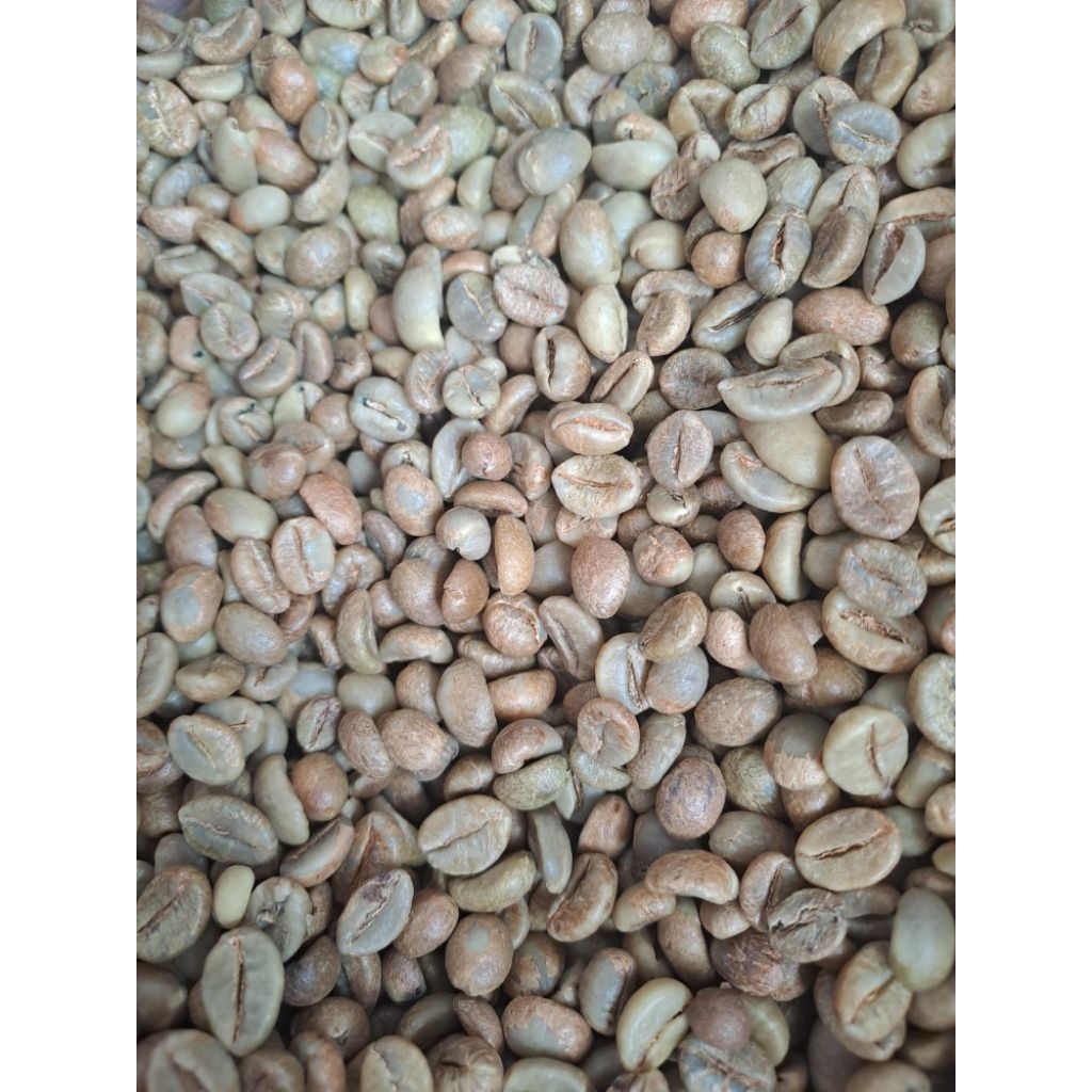 

Greenbean Robusta Petik Merah (Fine) 5 kg