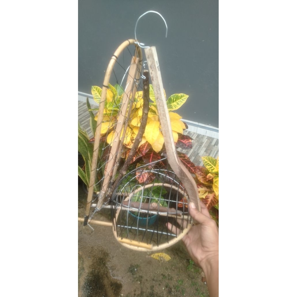 sangkar merbok/ jerat tekukur, perkutut