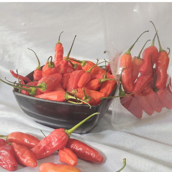 

Cabai Rawit 250 gr Segar Rasa Pedas Asli ciwidey