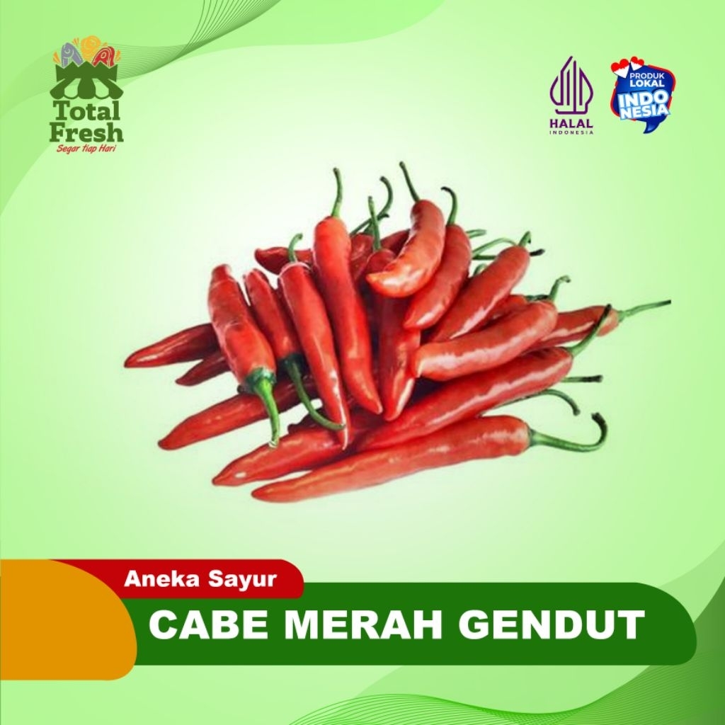 

cabe merah gendut