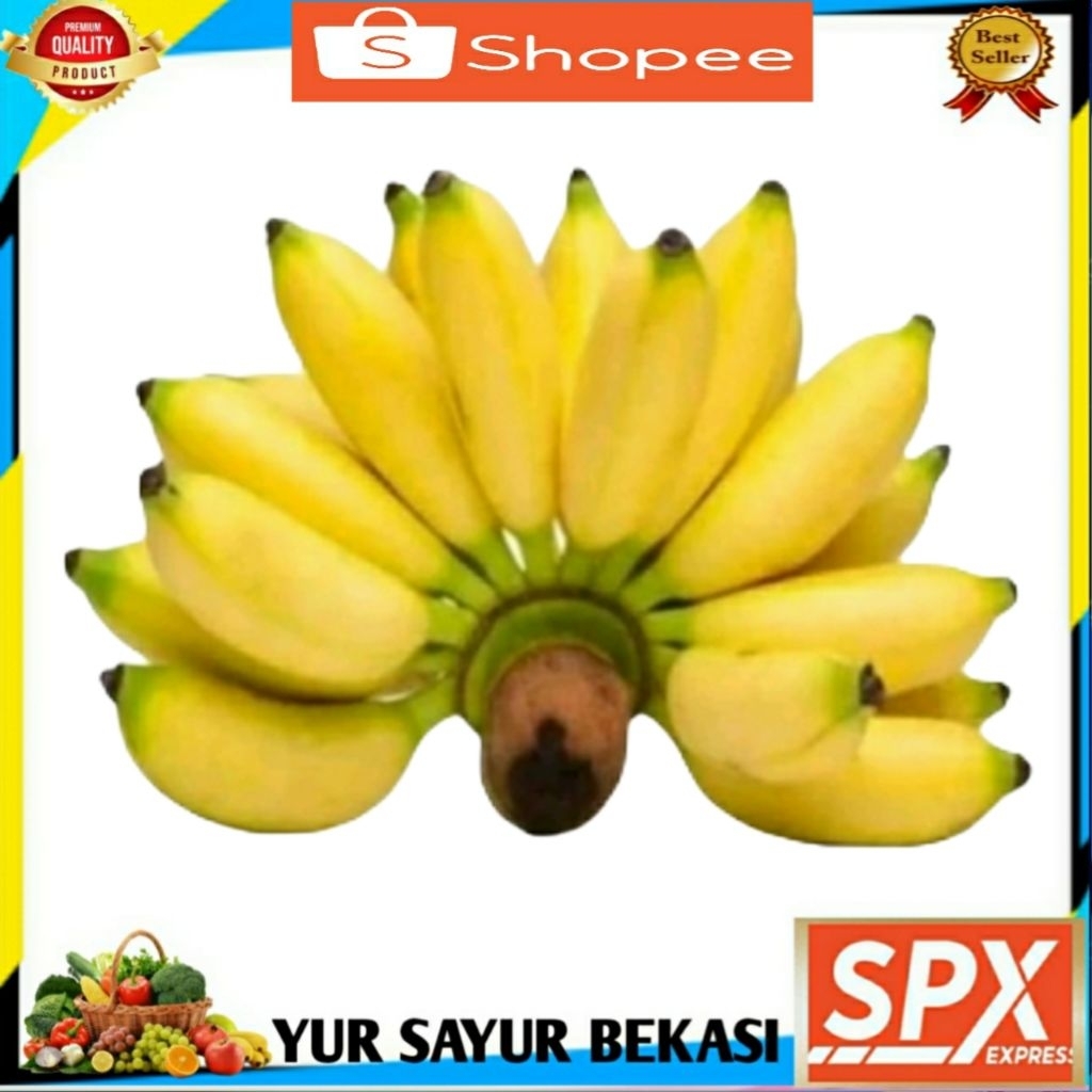 

Pisang Lampung Persisir